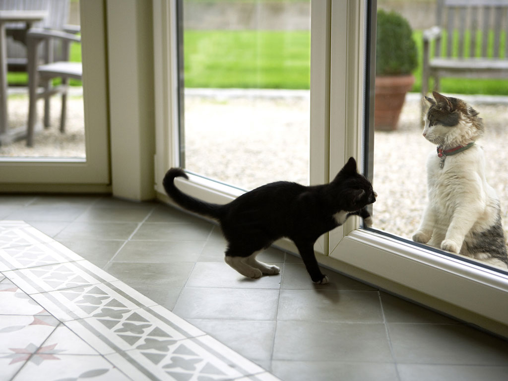 UPVC windows and doors